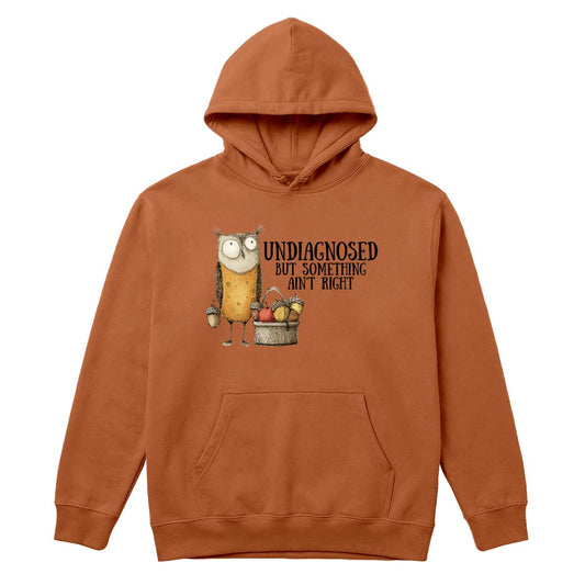 An orange-brown pullover hoodie with a front kangaroo pocket and a graphic of an owl next to a basket of fruit, with the text 'UNDIAGNOSED BUT SOMETHING IS RIGHT' printed on the chest, shown against a plain white background.